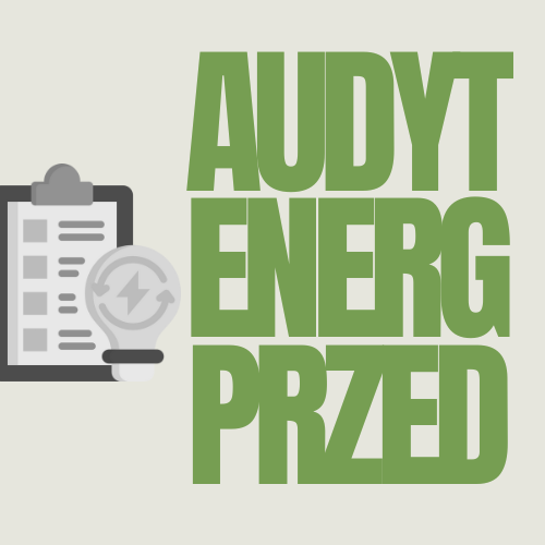Audyt